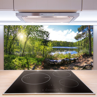 Kitchen Splashback Forest lake nature brown green