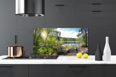 Kitchen Splashback Forest lake nature brown green