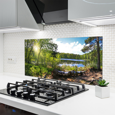 Kitchen Splashback Forest lake nature brown green