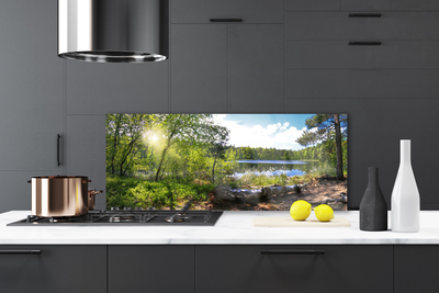 Kitchen Splashback Forest lake nature brown green