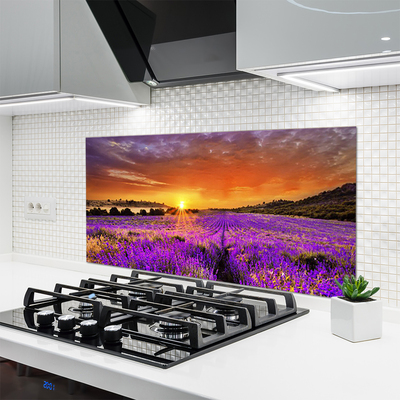 Kitchen Splashback Sun meadow flowers nature yellow pink