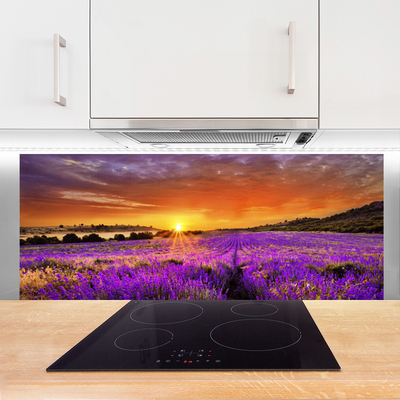 Kitchen Splashback Sun meadow flowers nature yellow pink