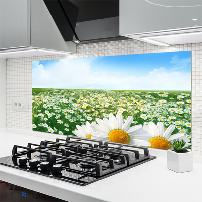 Kitchen Splashback Meadow daisies floral green white yellow