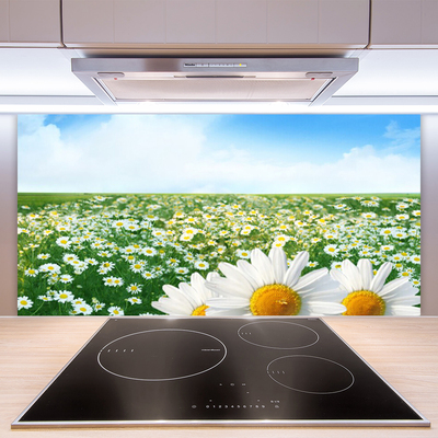 Kitchen Splashback Meadow daisies floral green white yellow