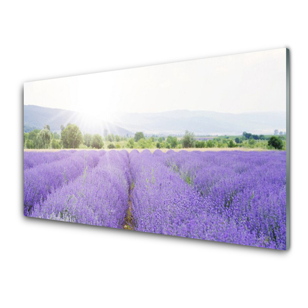 Kitchen Splashback Meadow flowers nature purple