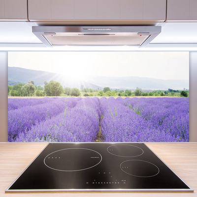 Kitchen Splashback Meadow flowers nature purple