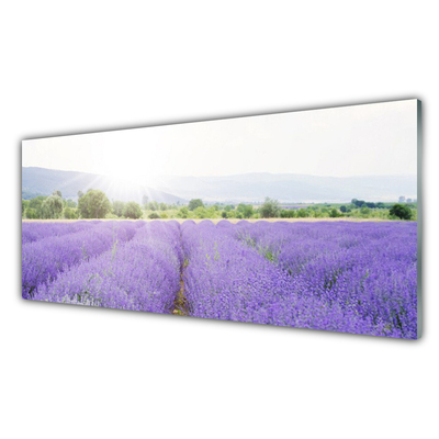 Kitchen Splashback Meadow flowers nature purple