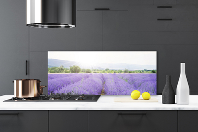 Kitchen Splashback Meadow flowers nature purple