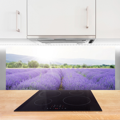 Kitchen Splashback Meadow flowers nature purple