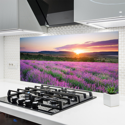 Kitchen Splashback Sun meadow flowers nature yellow pink green