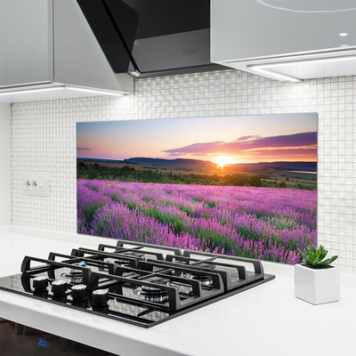 Kitchen Splashback Sun meadow flowers nature yellow pink green