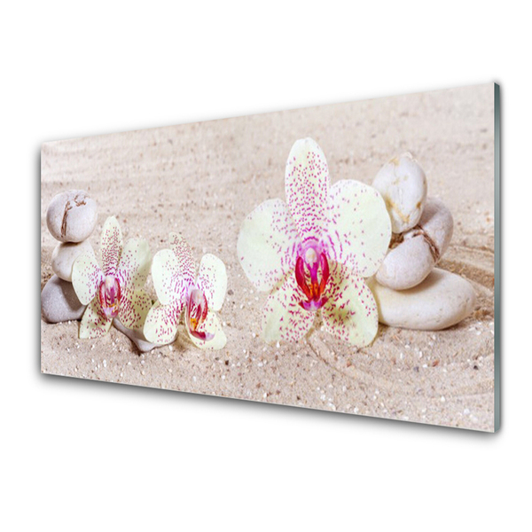 Kitchen Splashback Flower stones floral white