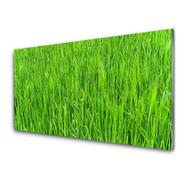 Kitchen Splashback Grass nature green