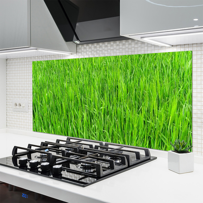 Kitchen Splashback Grass nature green