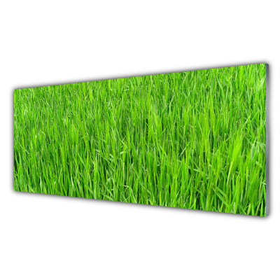 Kitchen Splashback Grass nature green