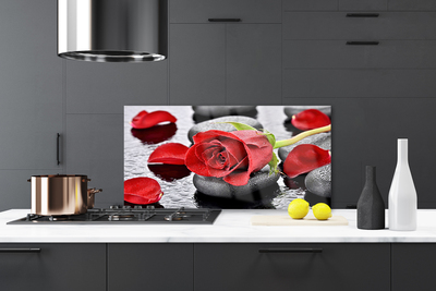 Kitchen Splashback Rose stones floral red grey