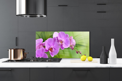 Kitchen Splashback Flowers houses pink