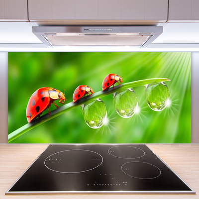 Kitchen Splashback Grass ladybug drops of dew floral green black red