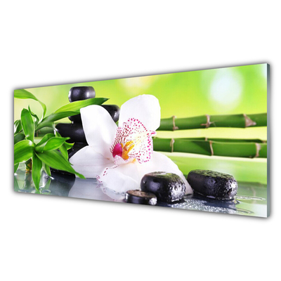 Kitchen Splashback Bamboo stalks flower stones floral green white black