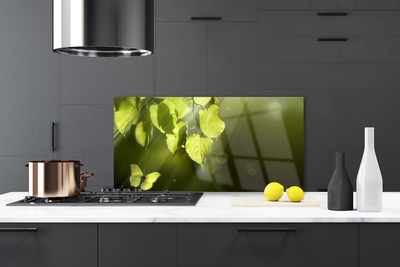 Kitchen Splashback Butterfly leaves nature green