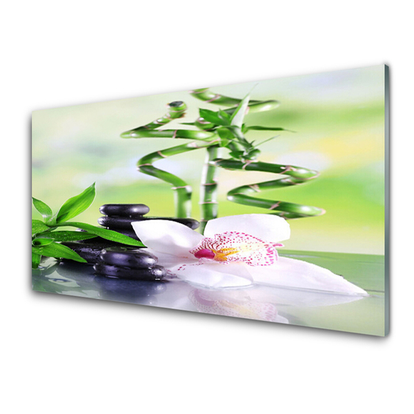 Kitchen Splashback Bamboo stalks flower stones floral green white black