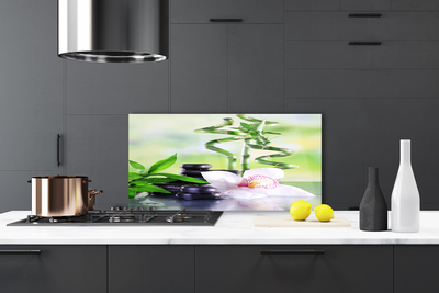 Kitchen Splashback Bamboo stalks flower stones floral green white black