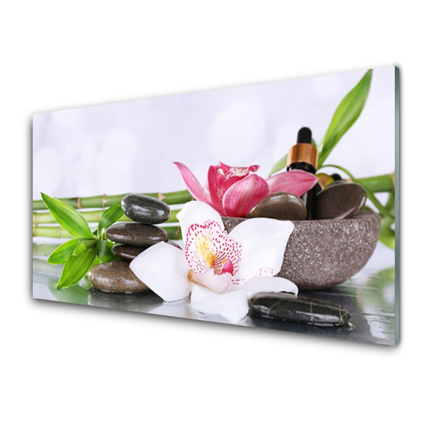 Kitchen Splashback Bamboo stalks flower stones floral green white grey