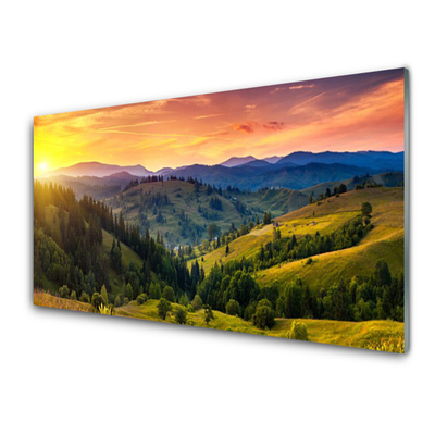 Kitchen Splashback Sun mountain forest meadow nature yellow blue green