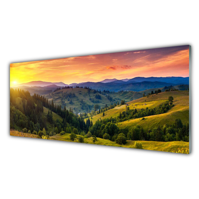 Kitchen Splashback Sun mountain forest meadow nature yellow blue green