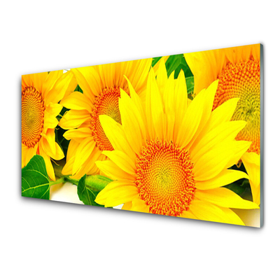 Kitchen Splashback Sunflowers floral yellow
