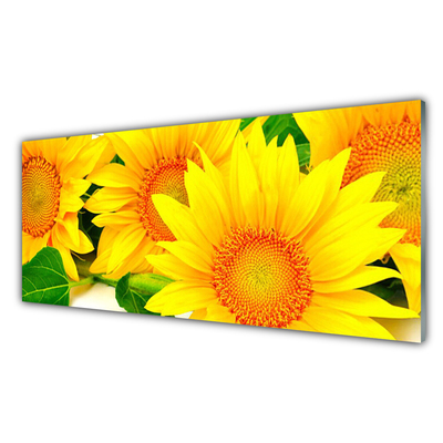 Kitchen Splashback Sunflowers floral yellow