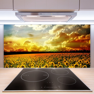 Kitchen Splashback Meadow sunflowers floral yellow brown