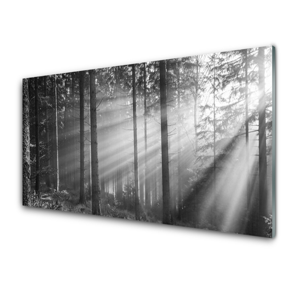 Kitchen Splashback Forest nature grey