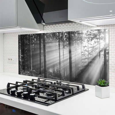 Kitchen Splashback Forest nature grey