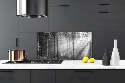 Kitchen Splashback Forest nature grey