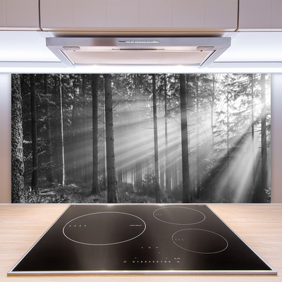 Kitchen Splashback Forest nature grey