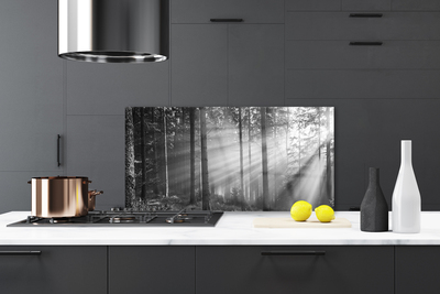 Kitchen Splashback Forest nature grey