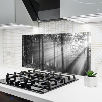 Kitchen Splashback Forest nature grey