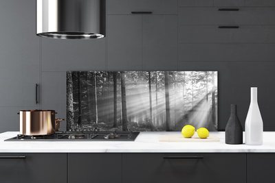 Kitchen Splashback Forest nature grey