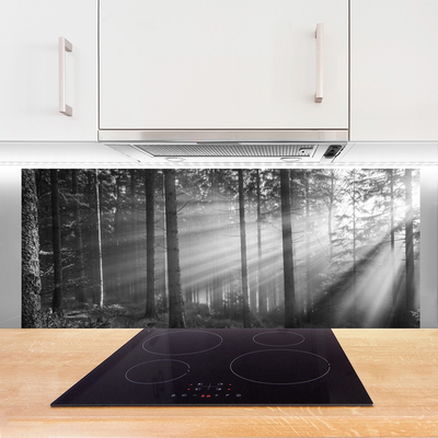 Kitchen Splashback Forest nature grey