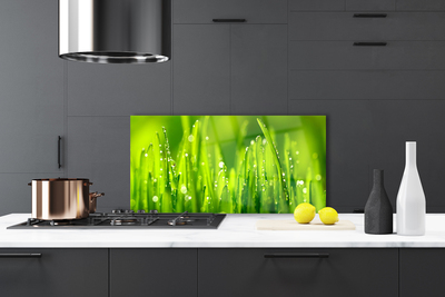 Kitchen Splashback Weed nature green