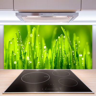 Kitchen Splashback Weed nature green