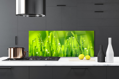 Kitchen Splashback Weed nature green