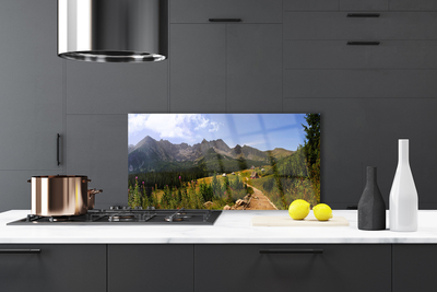 Kitchen Splashback Mountain forest nature grey green