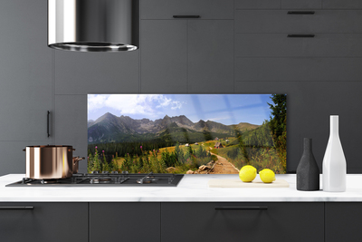 Kitchen Splashback Mountain forest nature grey green