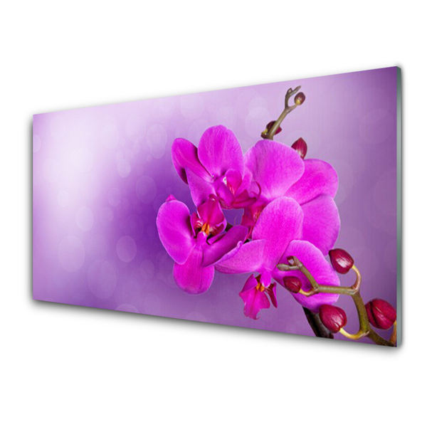 Kitchen Splashback Flowers floral pink