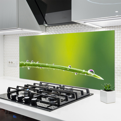 Kitchen Splashback Grass dew drops floral green