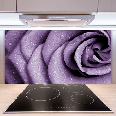 Kitchen Splashback Rose floral purple