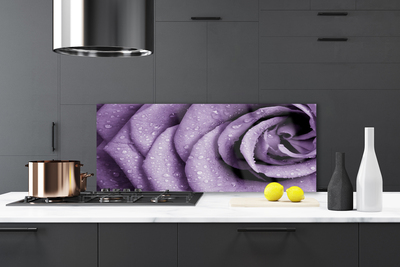 Kitchen Splashback Rose floral purple