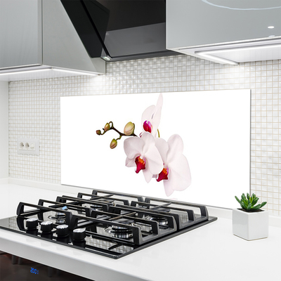 Kitchen Splashback Flowers floral pink white